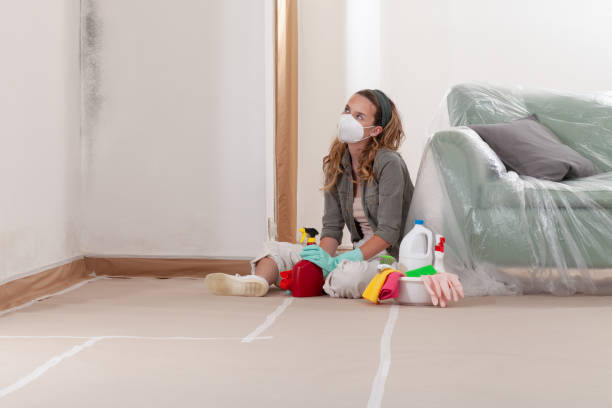 Reliable Commercial Mold Remediation contractor in Dayton, MN by WQB Mold Removal